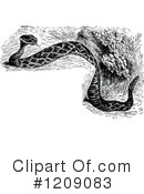 Snake Clipart #1209083 by Prawny Vintage