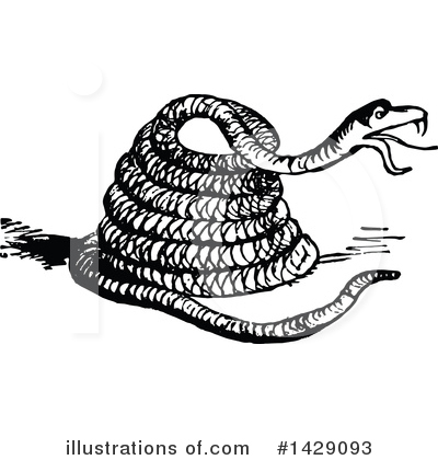 Royalty-Free (RF) Snake Clipart Illustration by Prawny Vintage - Stock Sample #1429093