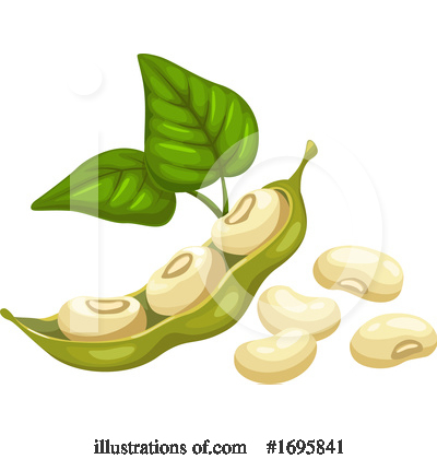 Soy Bean Clipart #1695841 by Vector Tradition SM