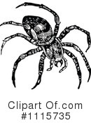 Spider Clipart #1115735 by Prawny Vintage