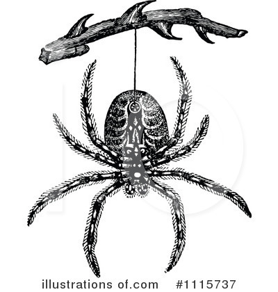Royalty-Free (RF) Spider Clipart Illustration by Prawny Vintage - Stock Sample #1115737