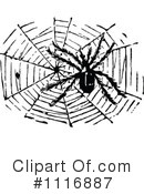 Spider Clipart #1116887 by Prawny Vintage