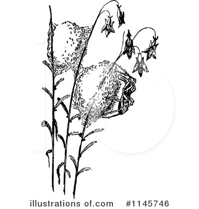 Bug Clipart #1145746 by Prawny Vintage