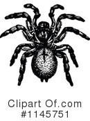 Spider Clipart #1145751 by Prawny Vintage