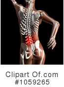 Spine Clipart #1059265 by KJ Pargeter