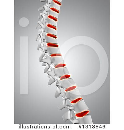 Royalty-Free (RF) Spine Clipart Illustration by KJ Pargeter - Stock Sample #1313846