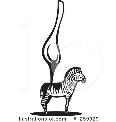 Zebra Clipart #1259029 by xunantunich