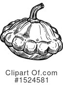 Squash Clipart #1524581 by Vector Tradition SM