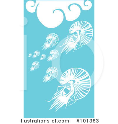 Nautilus Clipart #101363 by xunantunich