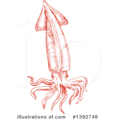 Royalty-Free (RF) Squid Clipart Illustration by Vector Tradition SM - Stock Sample #1392748