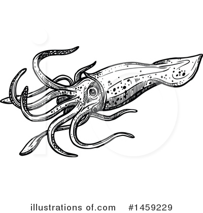Royalty-Free (RF) Squid Clipart Illustration by Vector Tradition SM - Stock Sample #1459229
