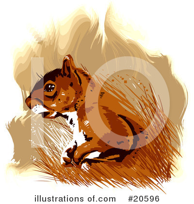 Chipmunk Clipart #20596 by Tonis Pan