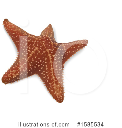 Royalty-Free (RF) Starfish Clipart Illustration by dero - Stock Sample #1585534