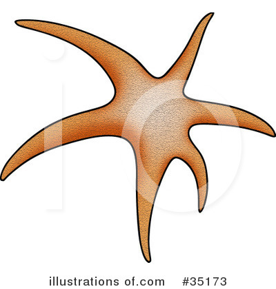 Starfish Clipart #35173 by dero