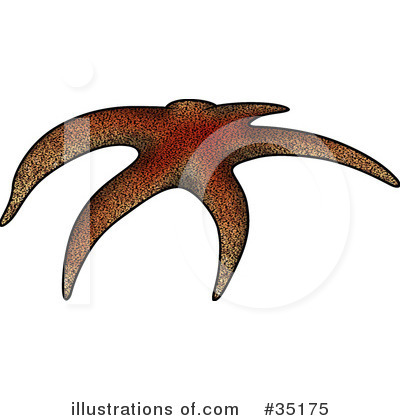 Royalty-Free (RF) Starfish Clipart Illustration by dero - Stock Sample #35175