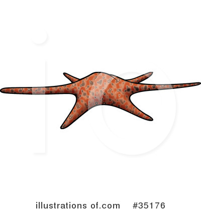 Royalty-Free (RF) Starfish Clipart Illustration by dero - Stock Sample #35176