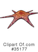 Starfish Clipart #35177 by dero