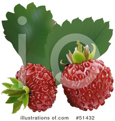 Strawberry Clipart #51432 by dero
