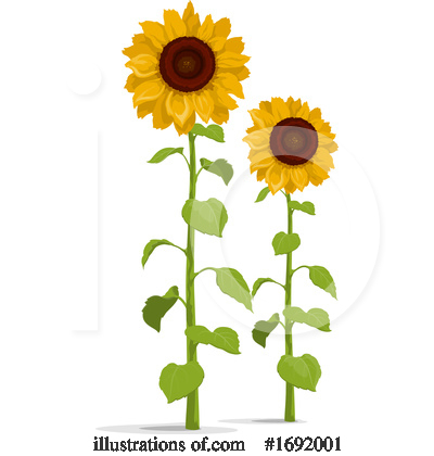 Royalty-Free (RF) Sunflower Clipart Illustration by Vector Tradition SM - Stock Sample #1692001