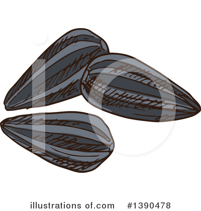Royalty-Free (RF) Sunflower Seed Clipart Illustration by Vector Tradition SM - Stock Sample #1390478