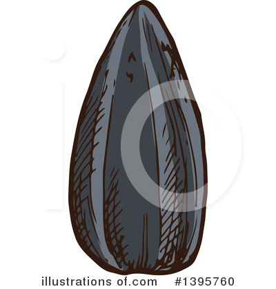 Sunflower Seed Clipart #1395760 by Vector Tradition SM