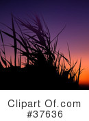 Sunset Clipart #37636 by dero
