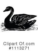 Swan Clipart #1113271 by Prawny Vintage
