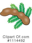 Tamarind Clipart #1114492 by Lal Perera
