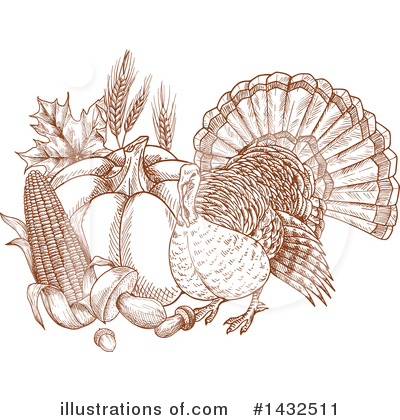 Turkey Bird Clipart #1432511 by Vector Tradition SM