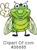 Thumbs Up Clipart #36685 by Dennis Holmes Designs