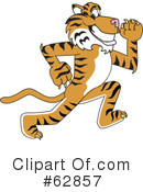Tiger Character Clipart #62857 by Mascot Junction
