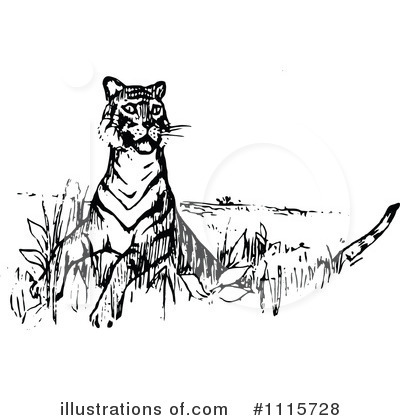 Tiger Clipart #1115728 by Prawny Vintage