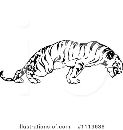 Royalty-Free (RF) Tiger Clipart Illustration by Prawny Vintage - Stock Sample #1119636