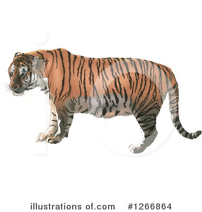 Royalty-Free (RF) Tiger Clipart Illustration by dero - Stock Sample #1266864