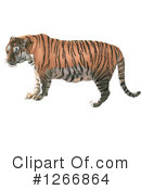 Tiger Clipart #1266864 by dero