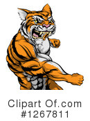 Tiger Clipart #1267811 by AtStockIllustration