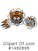 Tiger Clipart #1462896 by AtStockIllustration