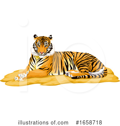 Tiger Clipart #1658718 by Morphart Creations