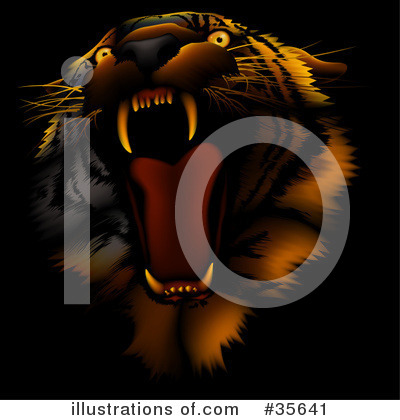 Tiger Clipart #35641 by dero