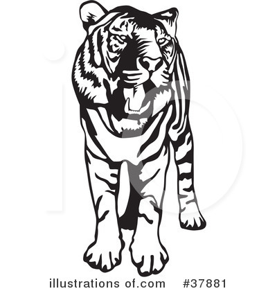 Royalty-Free (RF) Tiger Clipart Illustration by David Rey - Stock Sample #37881