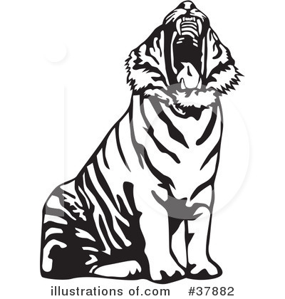 Royalty-Free (RF) Tiger Clipart Illustration by David Rey - Stock Sample #37882