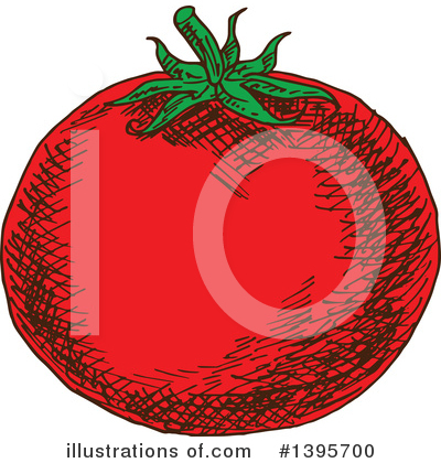Royalty-Free (RF) Tomato Clipart Illustration by Vector Tradition SM - Stock Sample #1395700