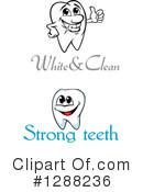 Tooth Clipart #1288236 by Vector Tradition SM