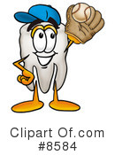 Tooth Clipart #8584 by Mascot Junction