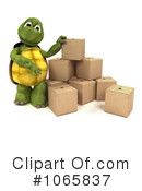 Tortoise Clipart #1065837 by KJ Pargeter