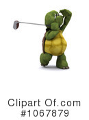 Tortoise Clipart #1067879 by KJ Pargeter