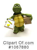 Tortoise Clipart #1067880 by KJ Pargeter
