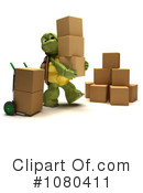 Tortoise Clipart #1080411 by KJ Pargeter