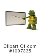 Tortoise Clipart #1097335 by KJ Pargeter