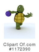 Tortoise Clipart #1172390 by KJ Pargeter